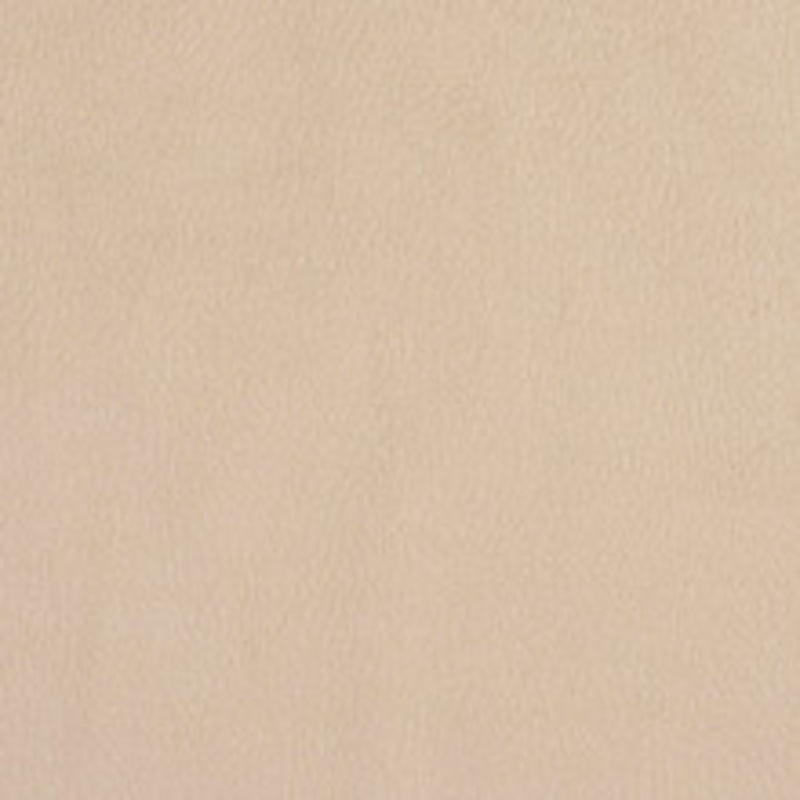 Charlotte Fabric 2926 Ecru