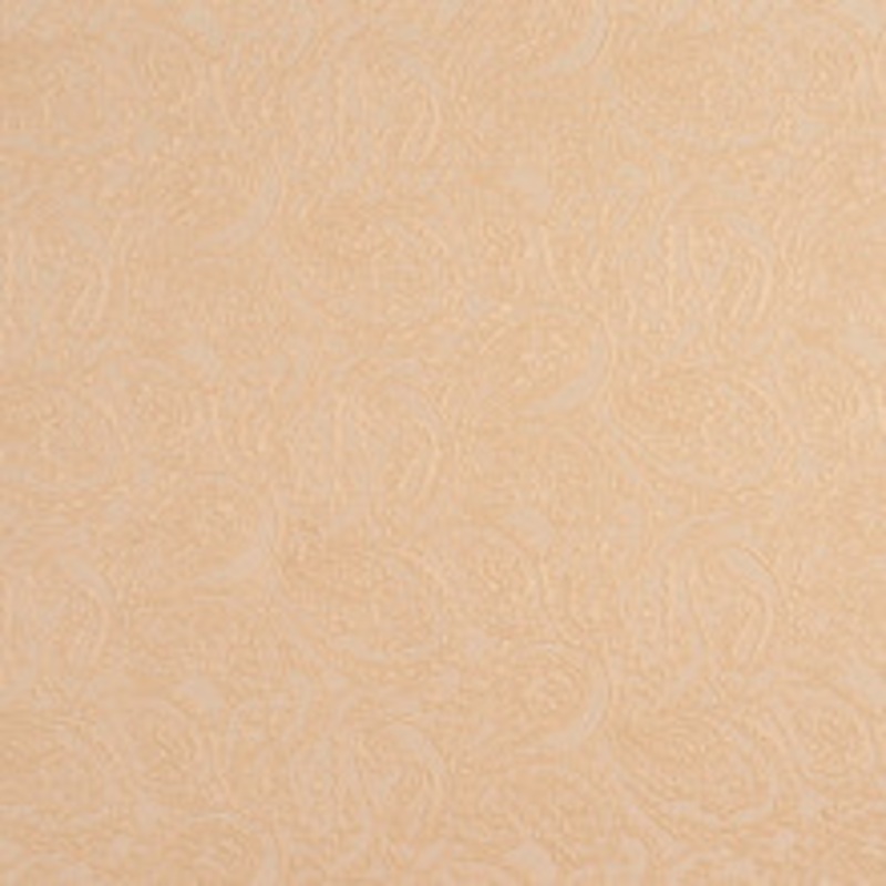 Charlotte Fabric 5580 Natural/Paisley