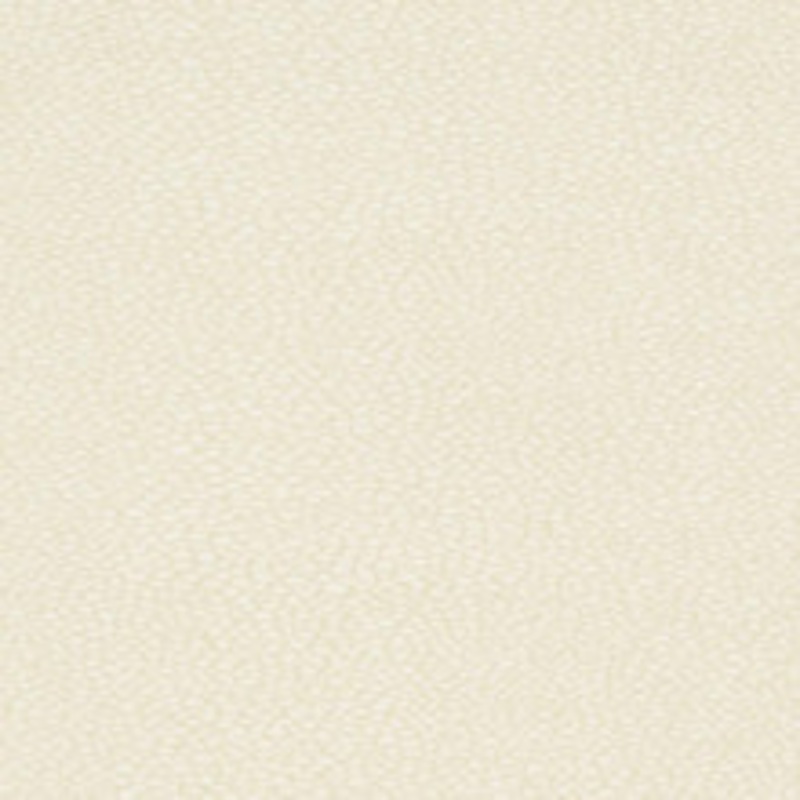 Charlotte Fabric D895 Pebble/Buff