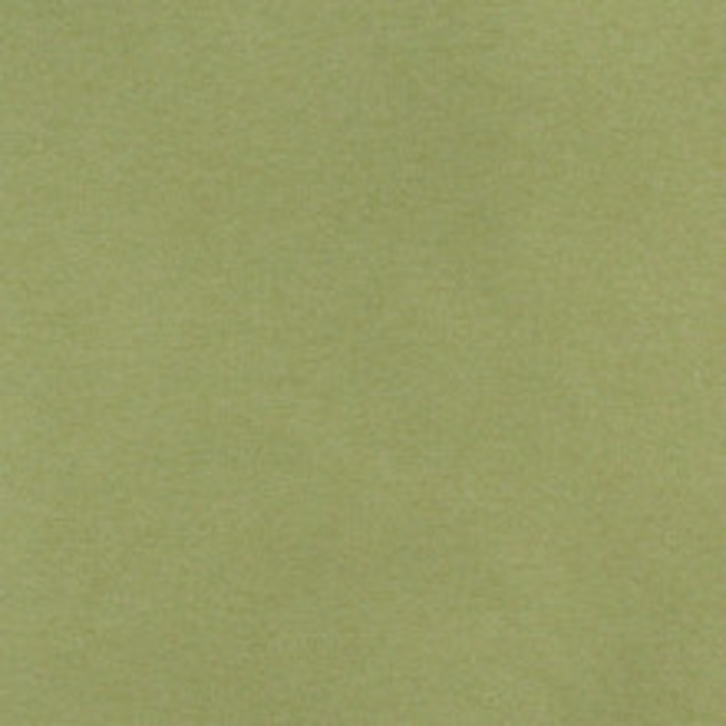 Charlotte Fabric 3204 Spring