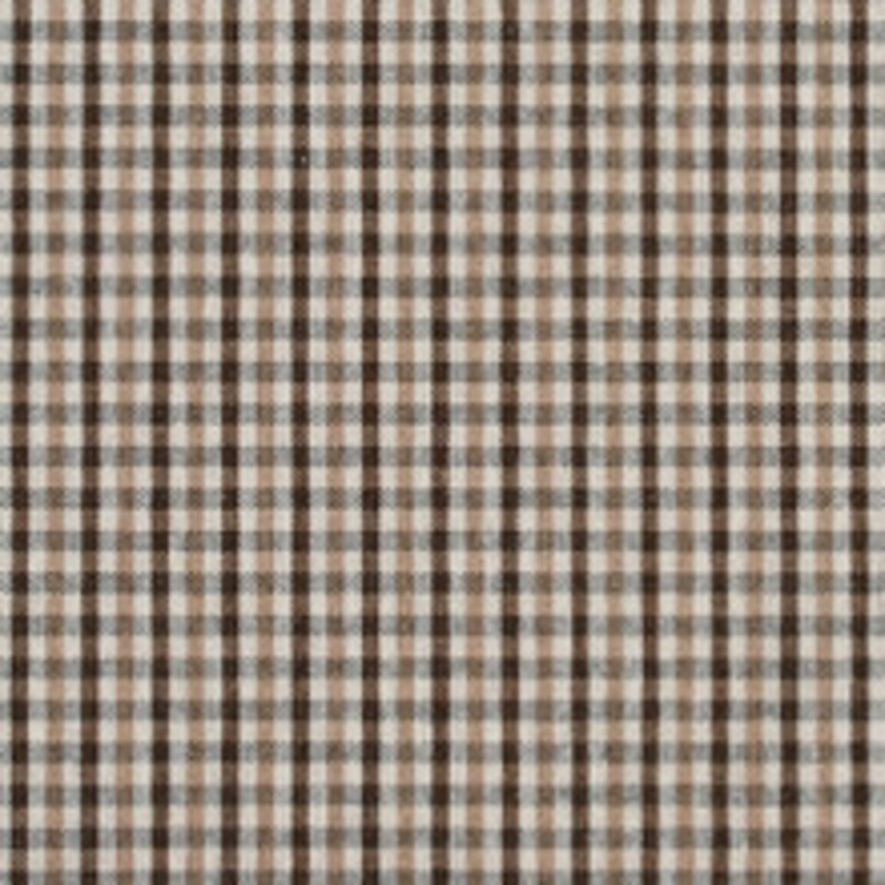 Charlotte Fabric 5812 Desert Check