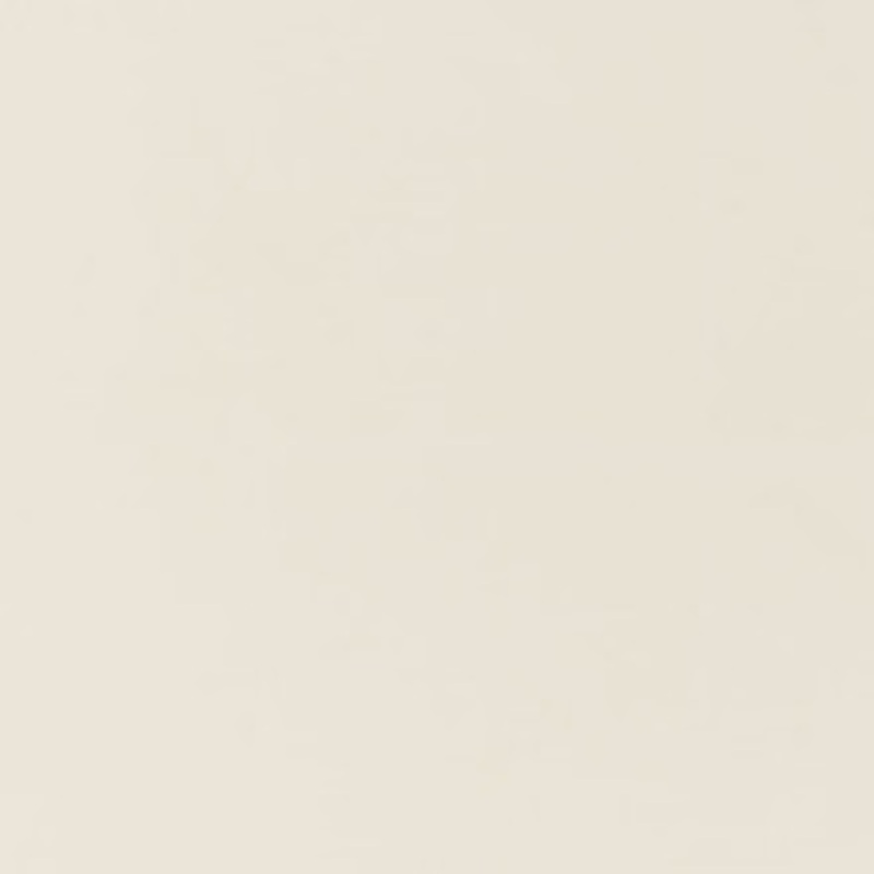 Schumacher Fabric Ravello Ivory 71041