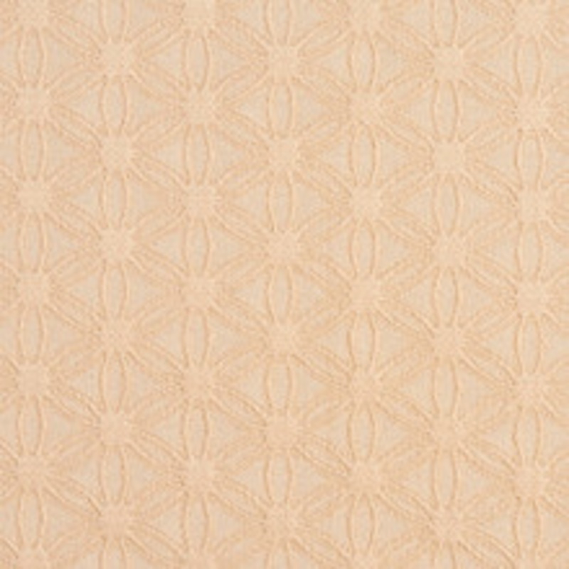 Charlotte Fabric 5535 Natural/Charm