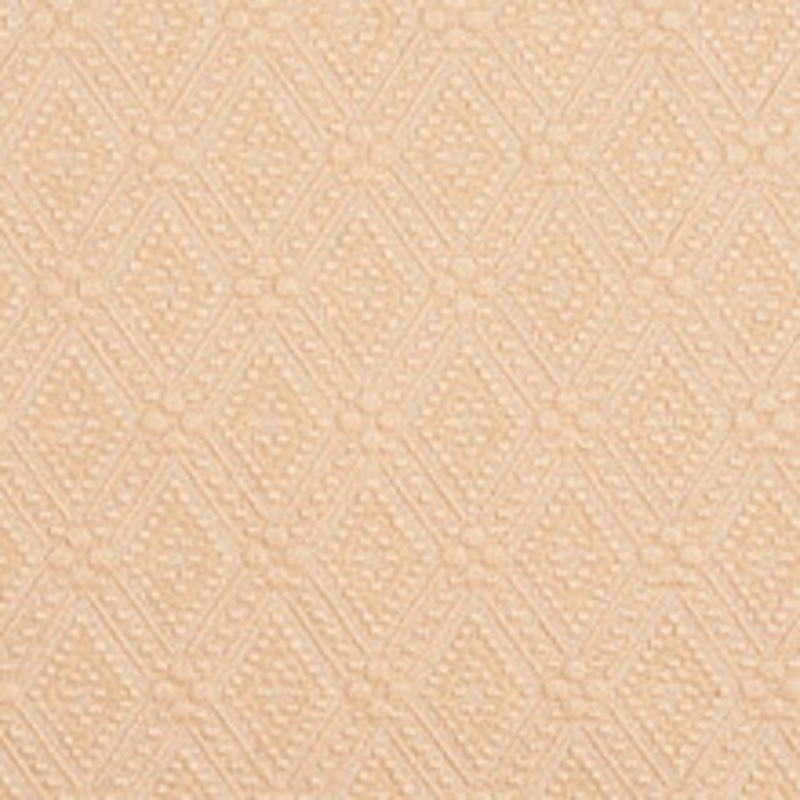 Charlotte Fabric 5571 Natural/Prism