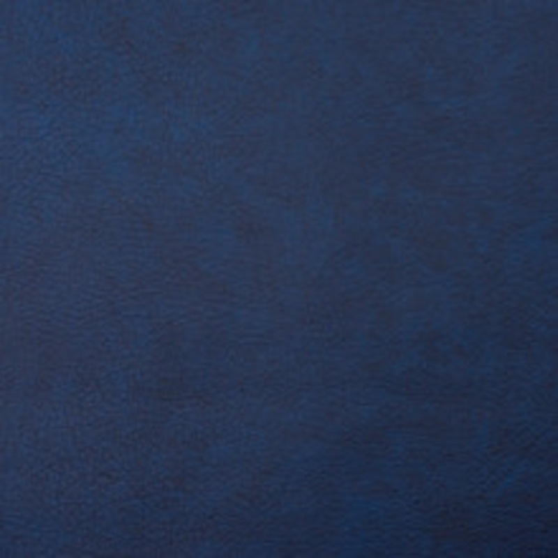 Charlotte Fabric 8101 Navy