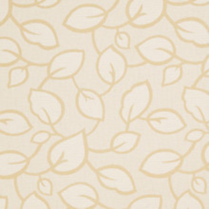 Charlotte Fabric 20000-01