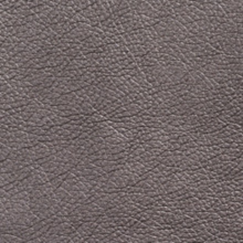 Charlotte Fabric 7428 Pewter
