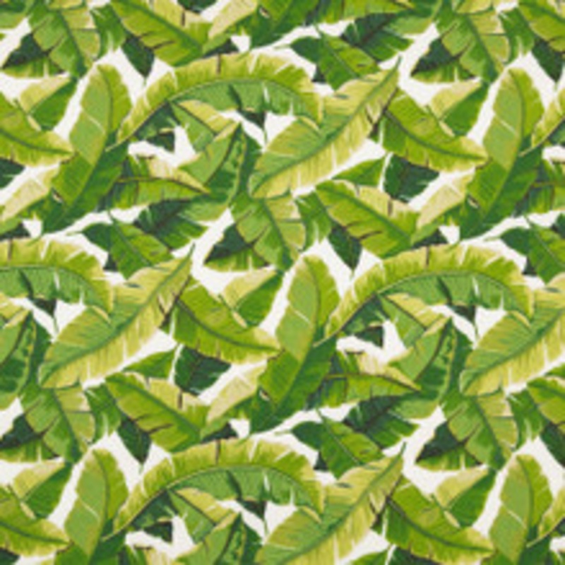 Charlotte Fabric D948 Palm