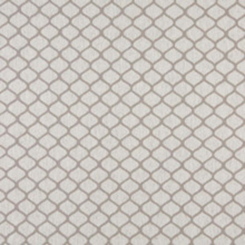 Charlotte Fabric 10005-06