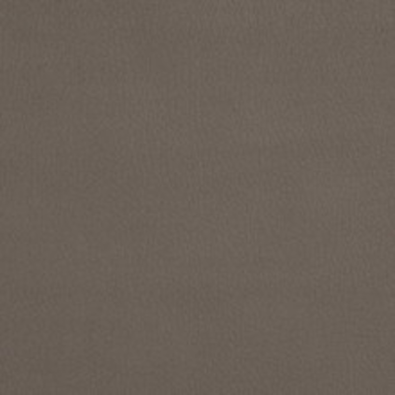 Charlotte Fabric 2927 Moonstone