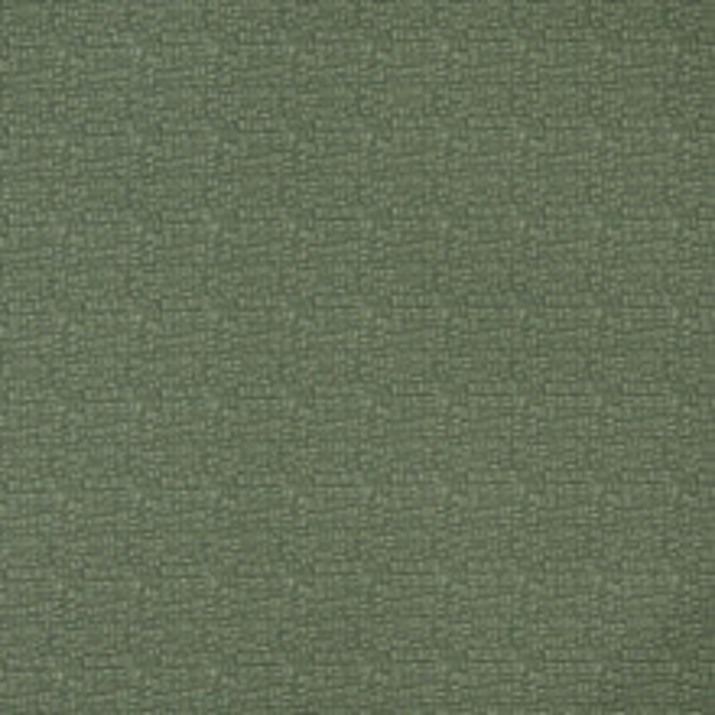 Charlotte Fabric 5267 Sage