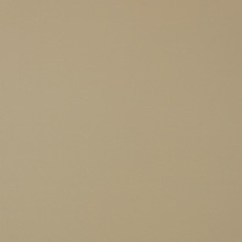 Charlotte Fabric V372 Bisque