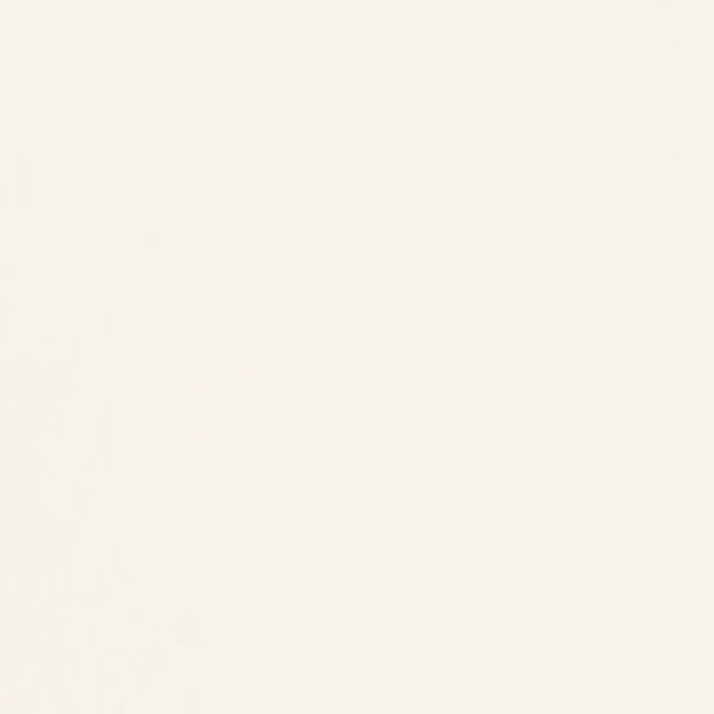 Charlotte Fabric V422 Optic