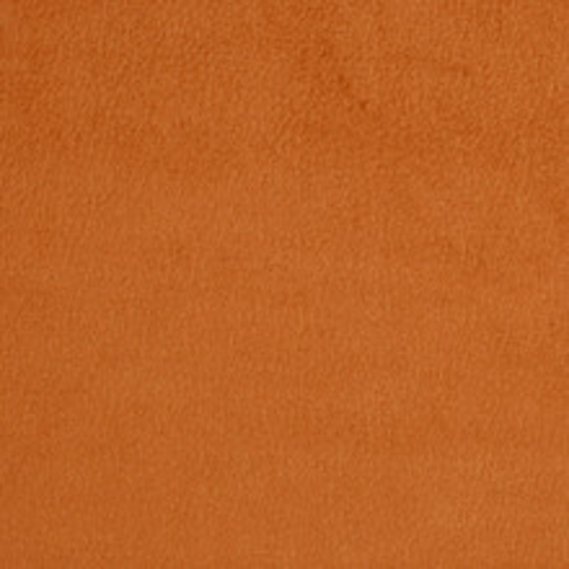 Charlotte Fabric 2920 Apricot