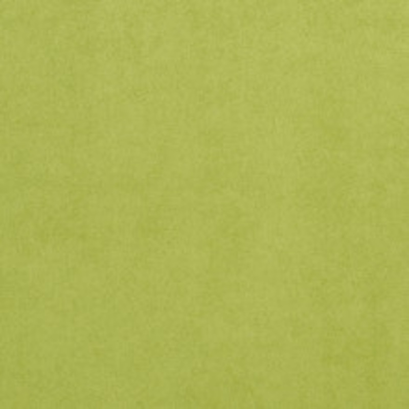 Charlotte Fabric 3724 Lime