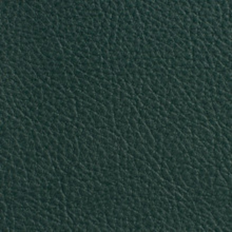 Charlotte Fabric 7178 Hunter