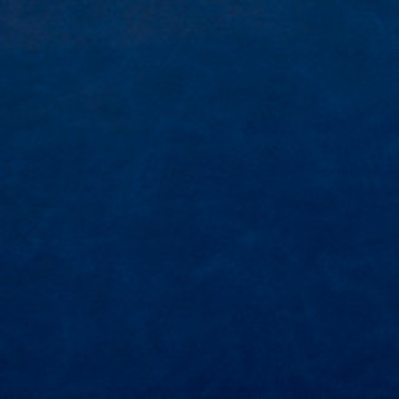 Charlotte Fabric 8242 Royal