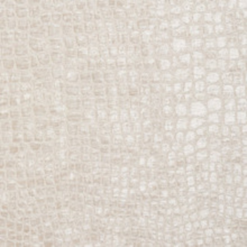 Charlotte Fabric 10151-05