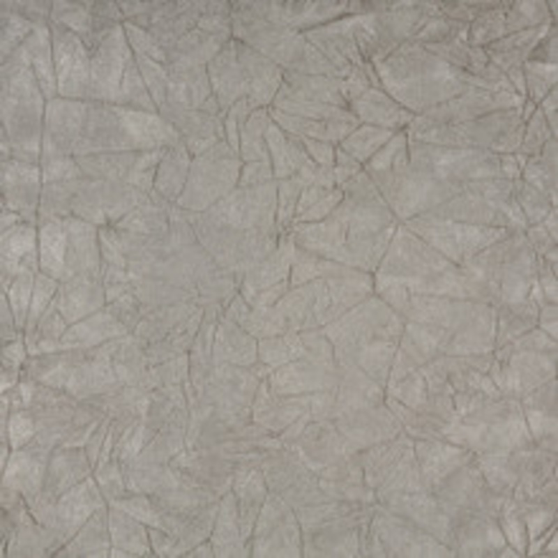 Charlotte Fabric 3874 Pewter Crushed
