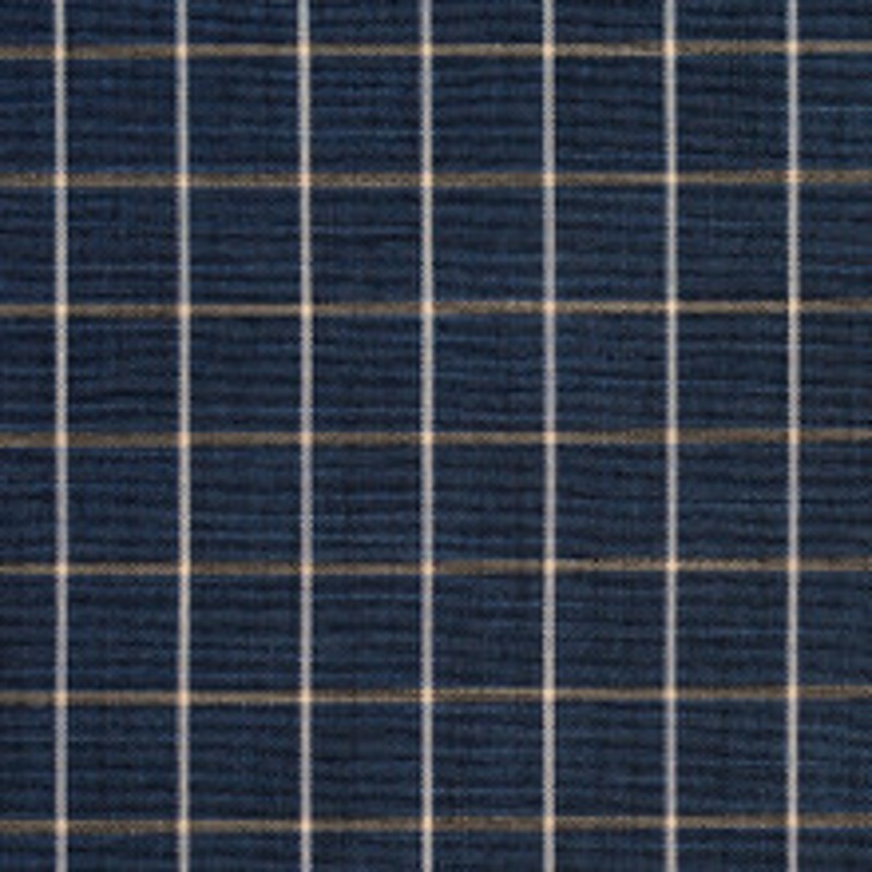 Charlotte Fabric D127 Indigo Checkerboard