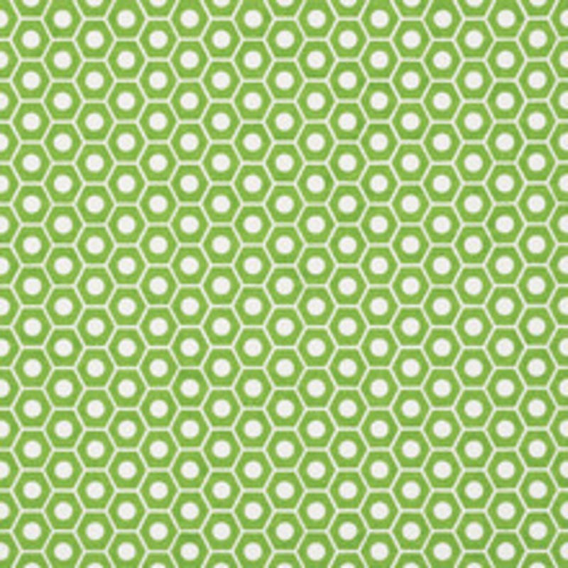Schumacher Fabric Queen B Green 177075