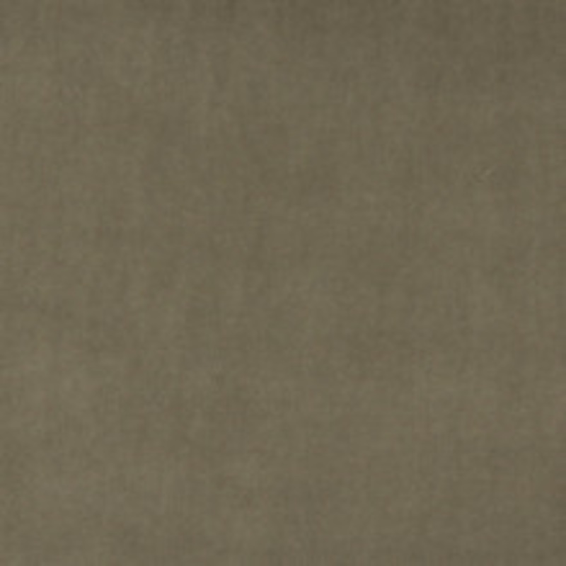 Charlotte Fabric 10000-04