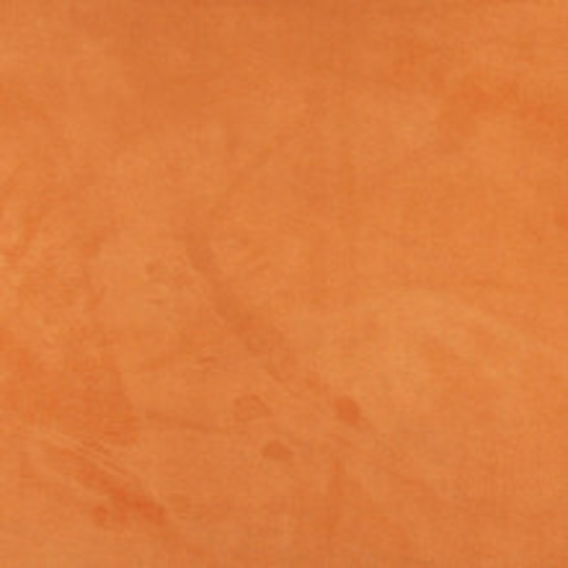 Charlotte Fabric 3056 Apricot