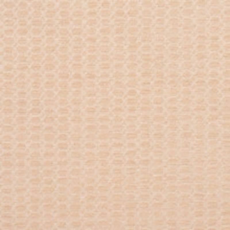 Charlotte Fabric 3472 Opal