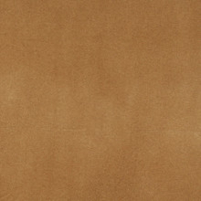 Charlotte Fabric 3859 Camel