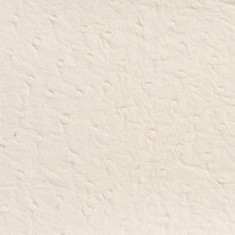 Charlotte Fabric 7704 Eggshell