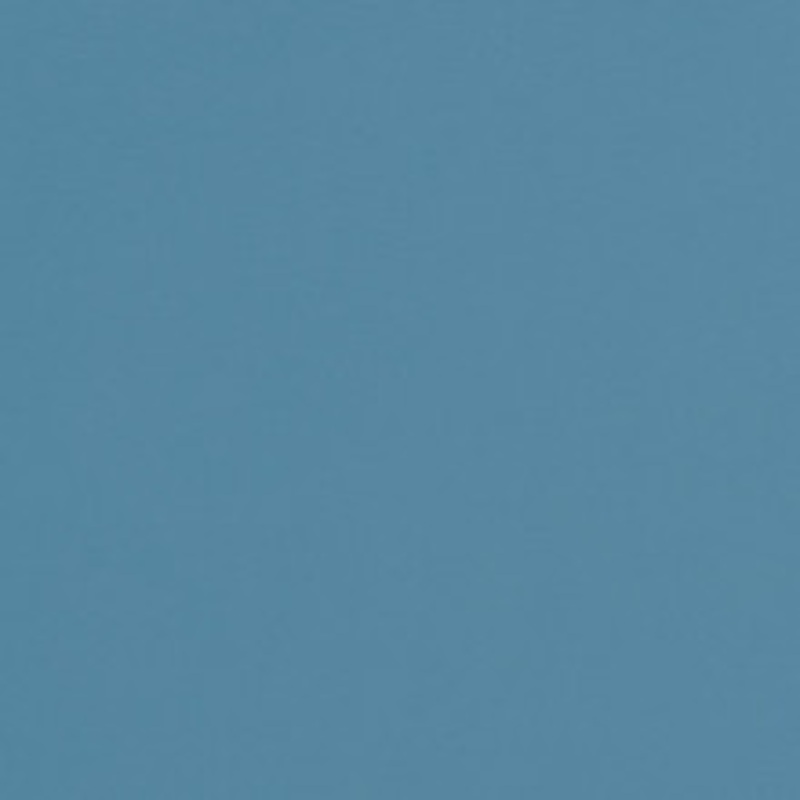 Charlotte Fabric V309 Sky