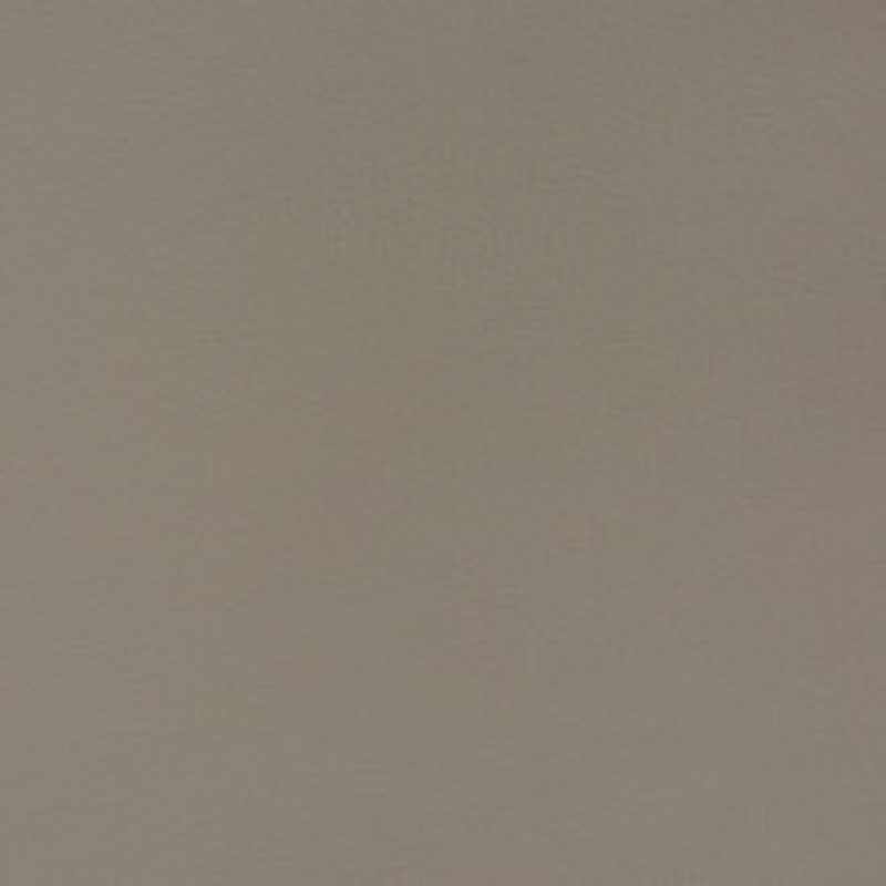 Charlotte Fabric V376 Mineral