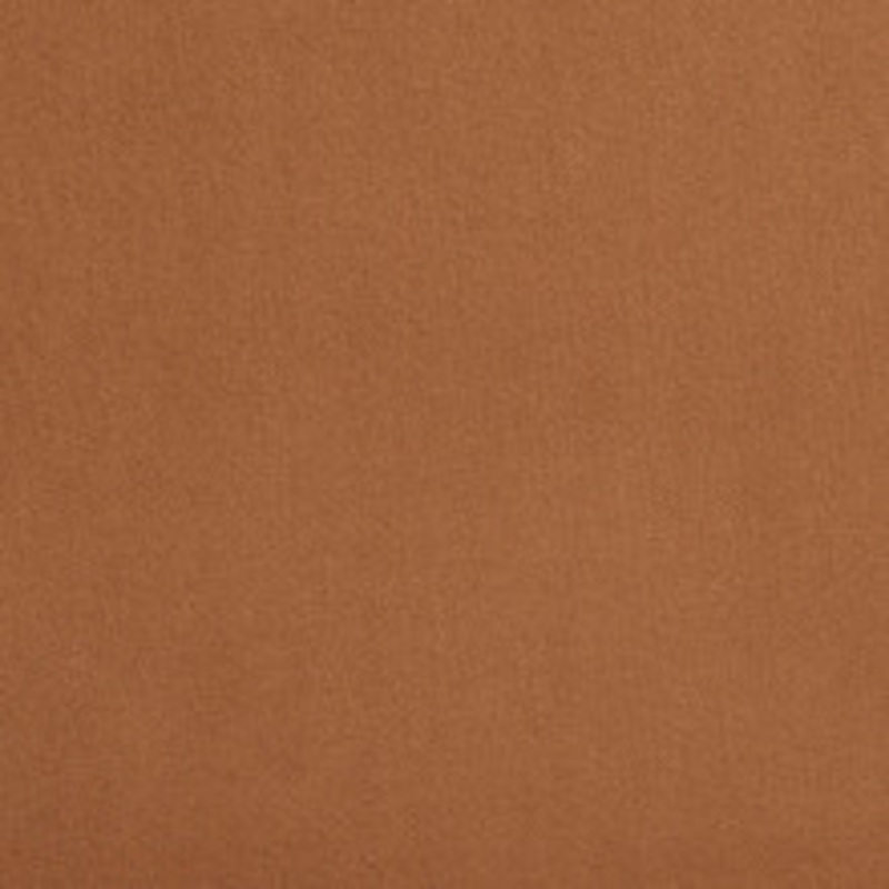 Charlotte Fabric 2207 Latte