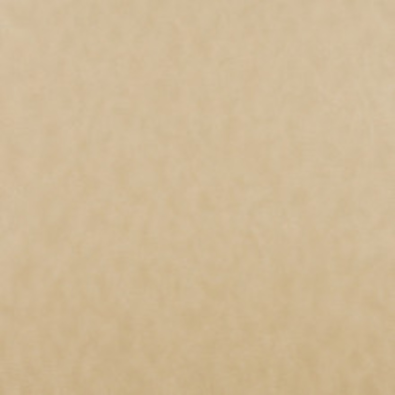 Charlotte Fabric 7749 Beach