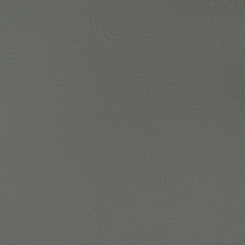 Charlotte Fabric V362 Graphite