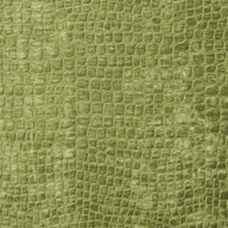 Charlotte Fabric 10151-01