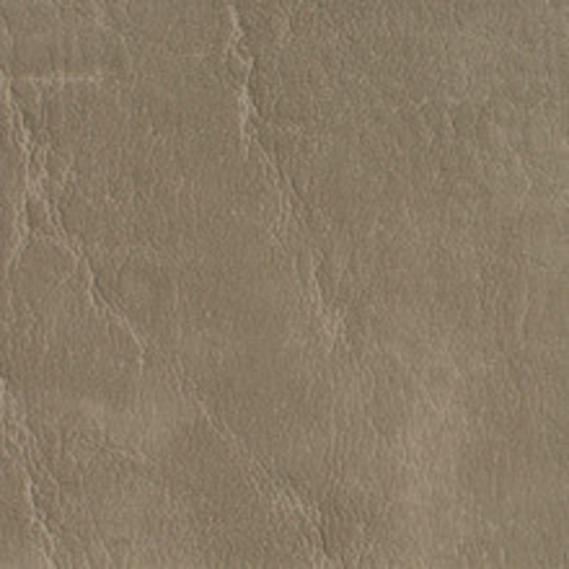 Charlotte Fabric 7620 Taupe