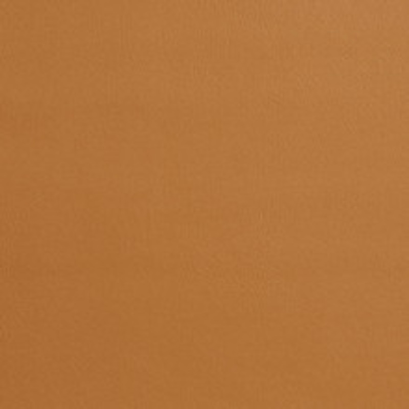 Charlotte Fabric 7969 Buckskin