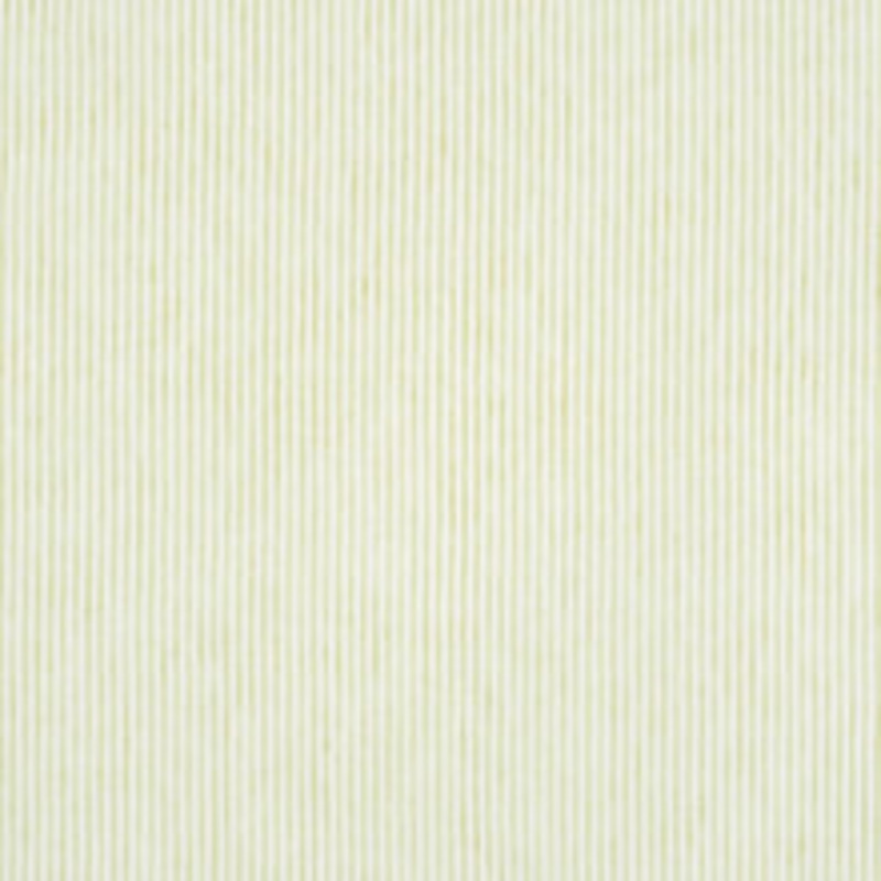Schumacher Fabric Tori Stripe Leaf 70063