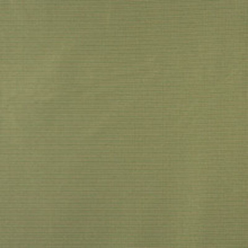 Charlotte Fabric 6618 Fern