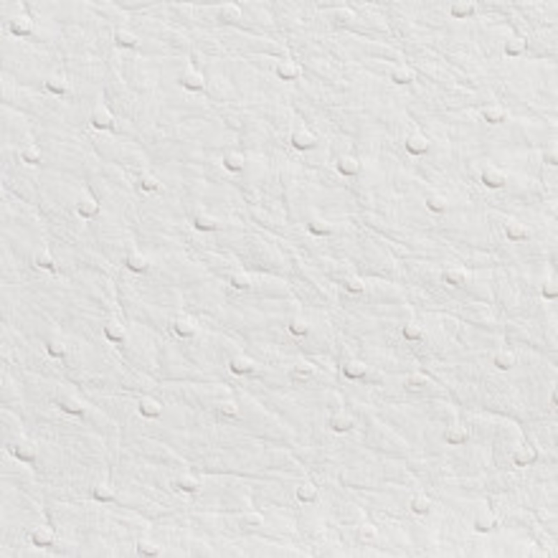 Charlotte Fabric 7700 White