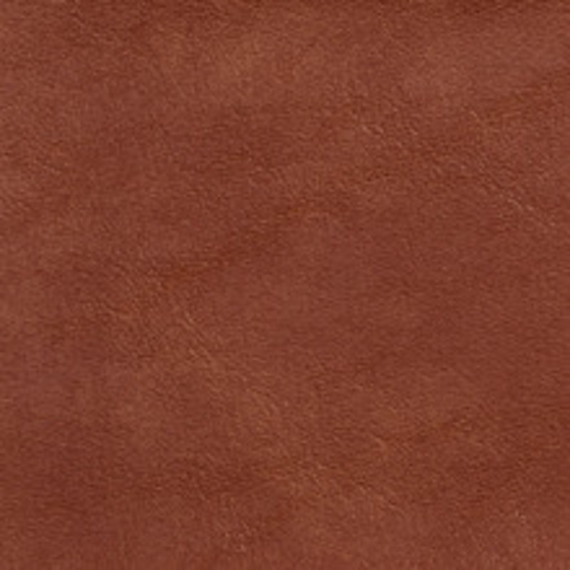 Charlotte Fabric 7717 Sable