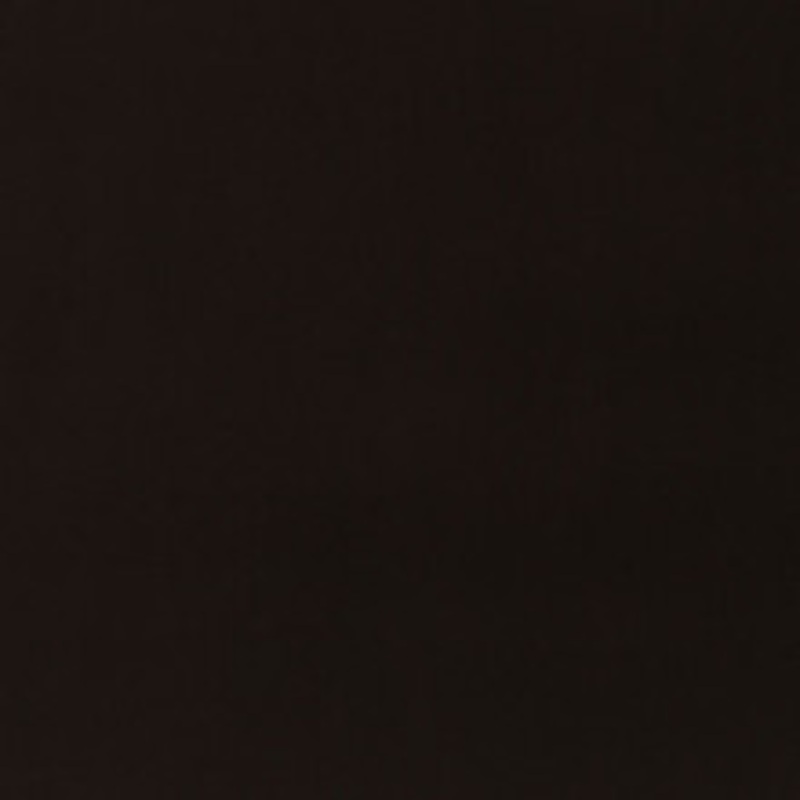 Schumacher Fabric Ravello Espresso 71051