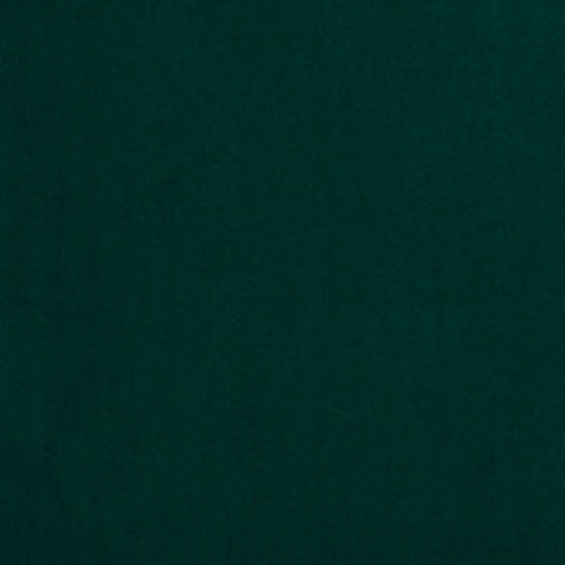 Charlotte Fabric 2227 Spruce