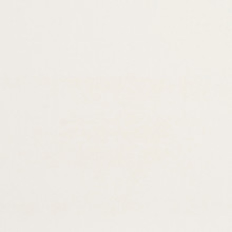 Charlotte Fabric 8219 White