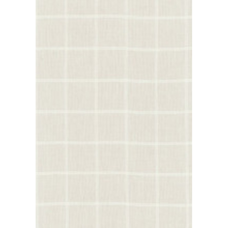 Schumacher Fabric Vivianne Sheer Check Cream 55780