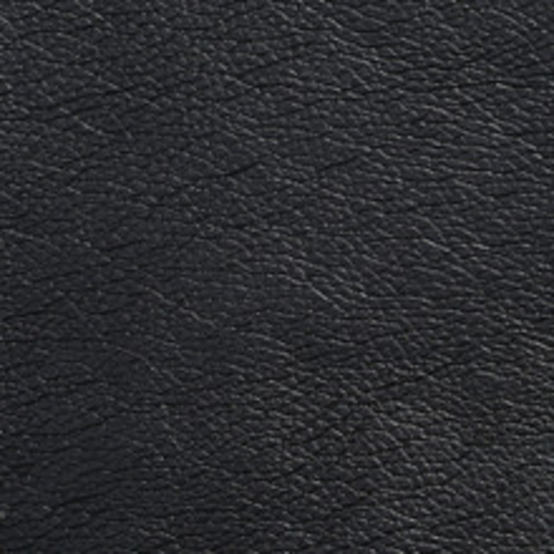 Charlotte Fabric 7429 Onyx