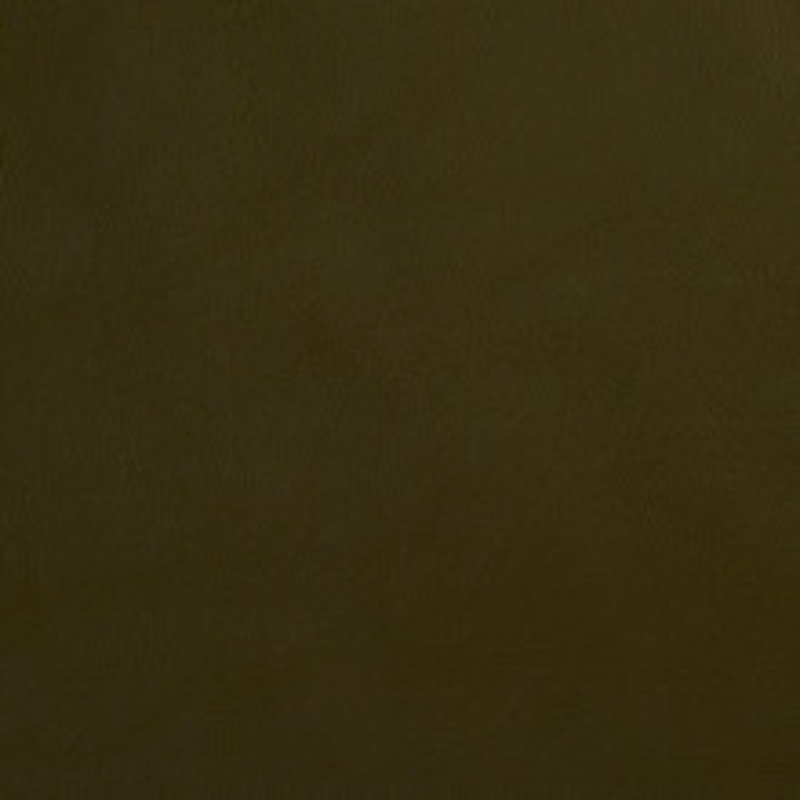 Charlotte Fabric 8068 Hunter