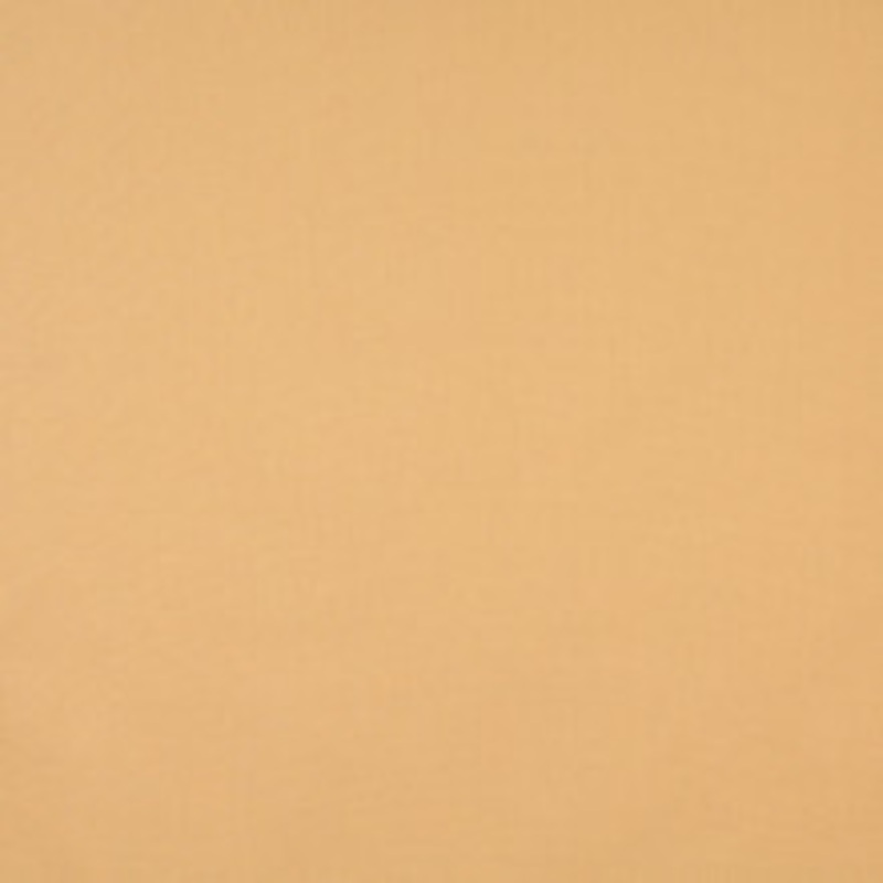 Charlotte Fabric 9454 Nugget