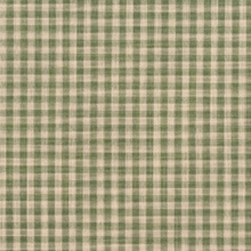 Charlotte Fabric D119 Juniper Gingham